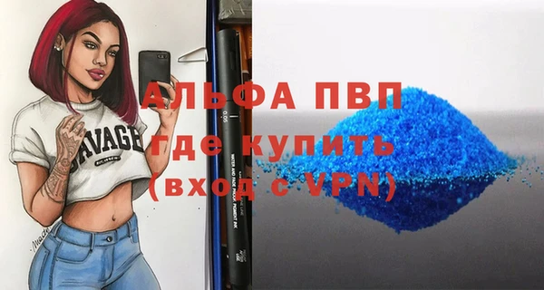 спиды Новодвинск