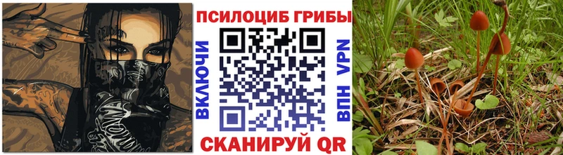 Псилоцибиновые грибы мицелий  купить наркотик  Катав-Ивановск 
